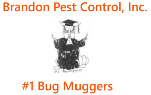 Pest Control Brandon FL | Household Pest Removal